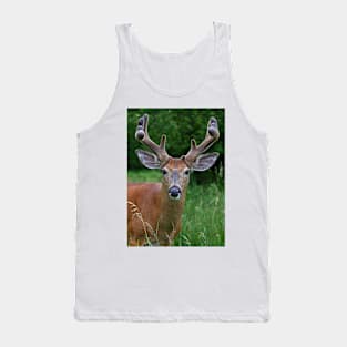 A touch of velvet - White-tailed buck Tank Top